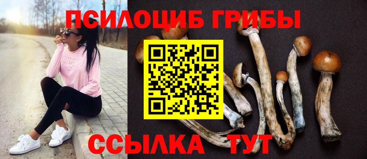 Калуга  Псилоцибиновые грибы Psilocybe  Вход с VPN 