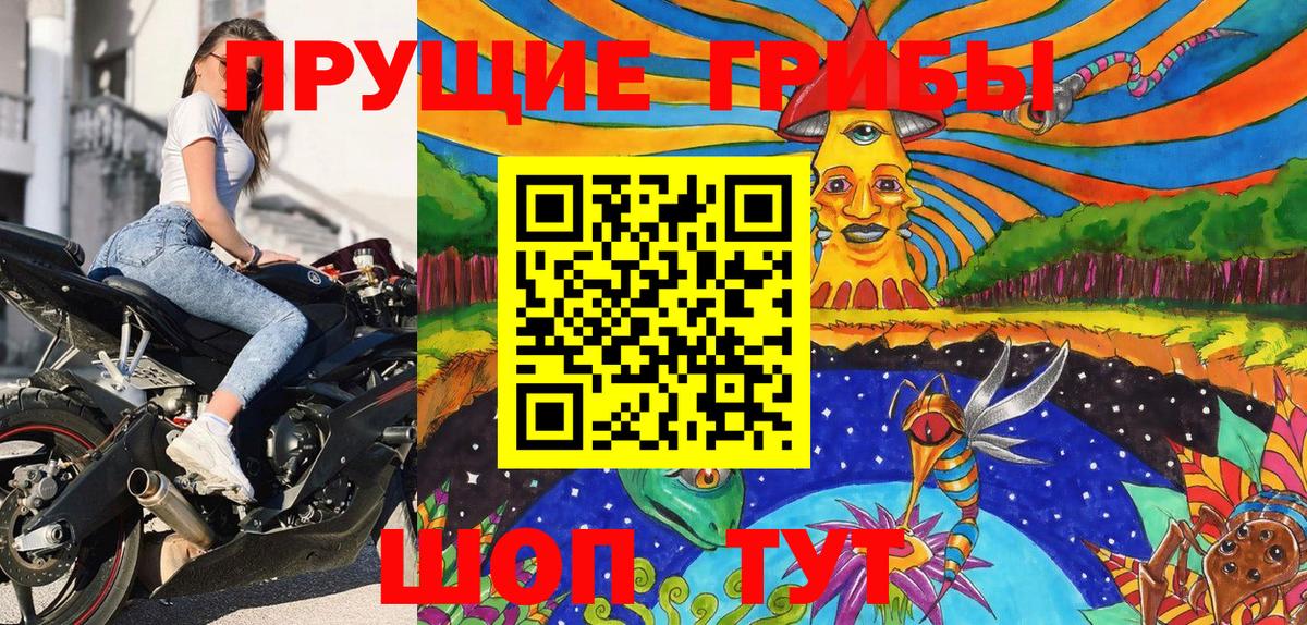 Галлюциногенные грибы Psilocybine cubensis Калуга